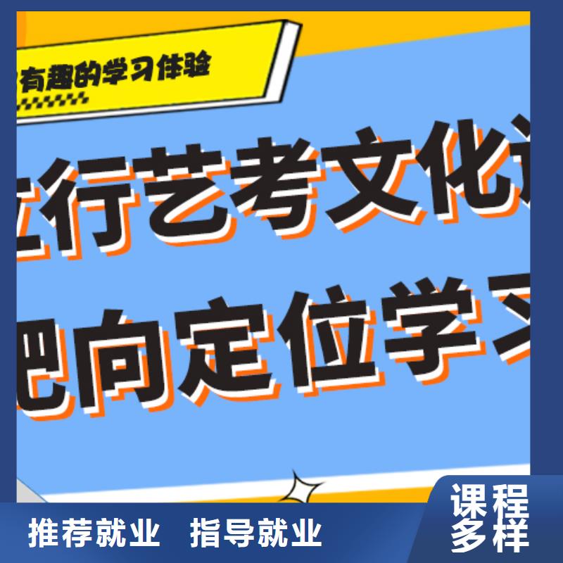 艺考生文化课补习机构排名精准的复习计划