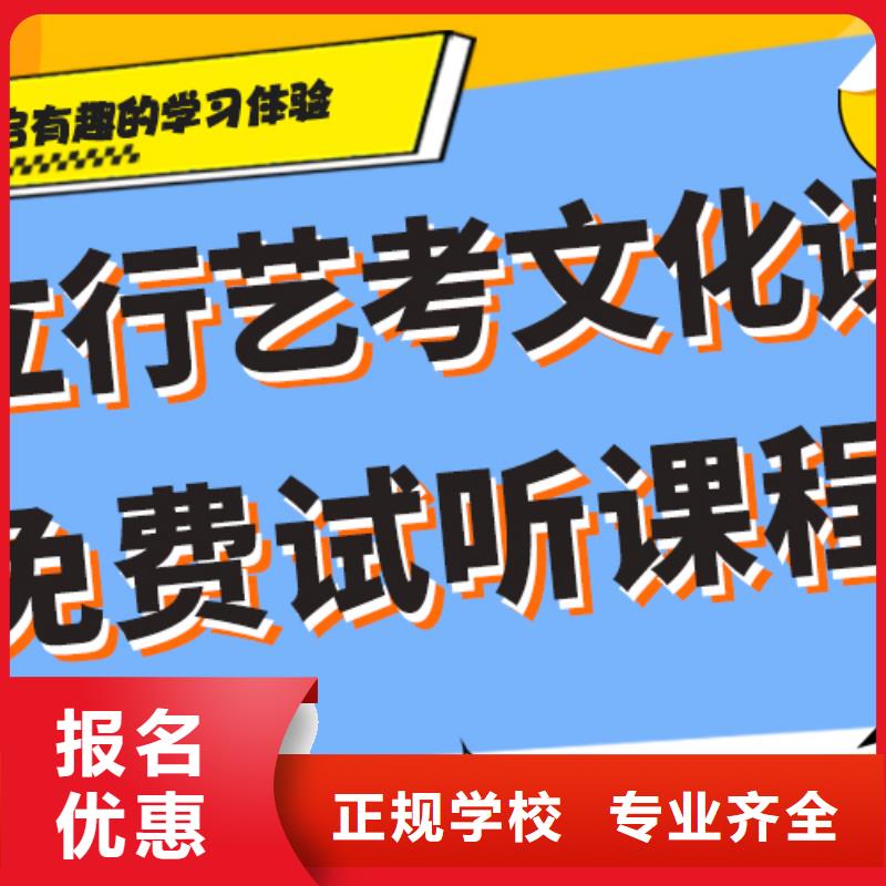 艺术生文化课培训学校哪里好艺考生文化课专用教材