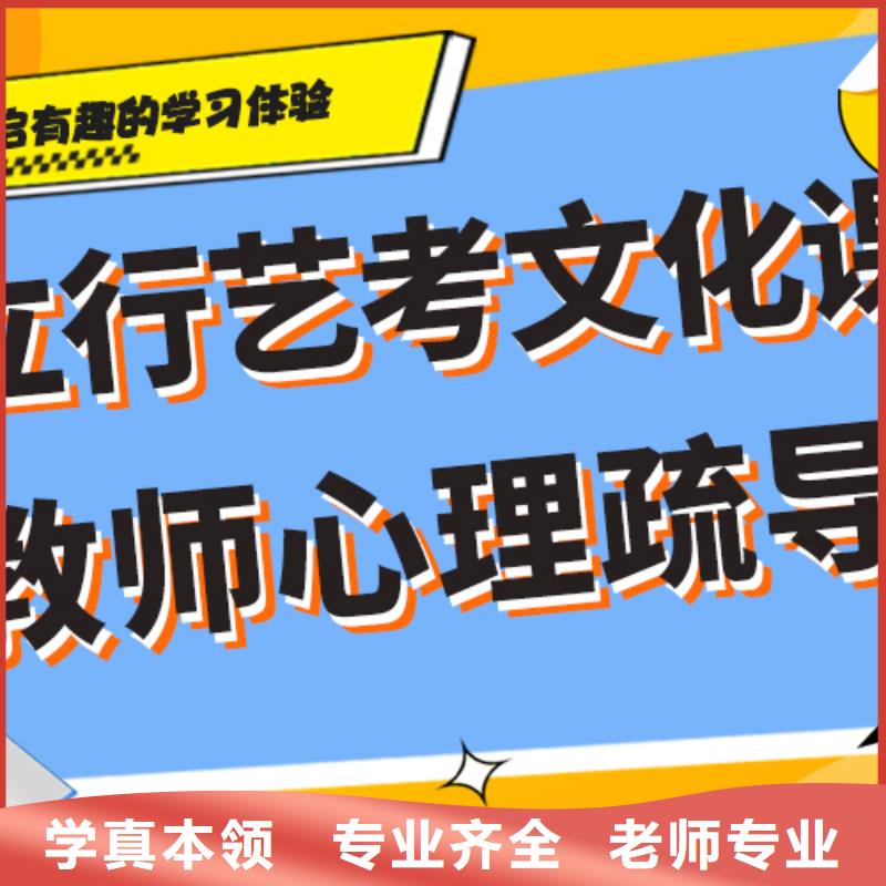 艺术生文化课辅导集训费用强大的师资配备