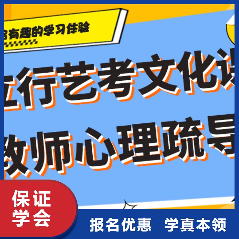 艺术生文化课培训补习怎么样定制专属课程