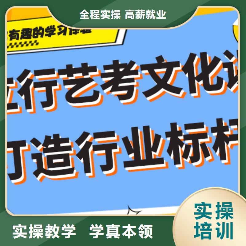 艺考生文化课辅导集训有哪些定制专属课程