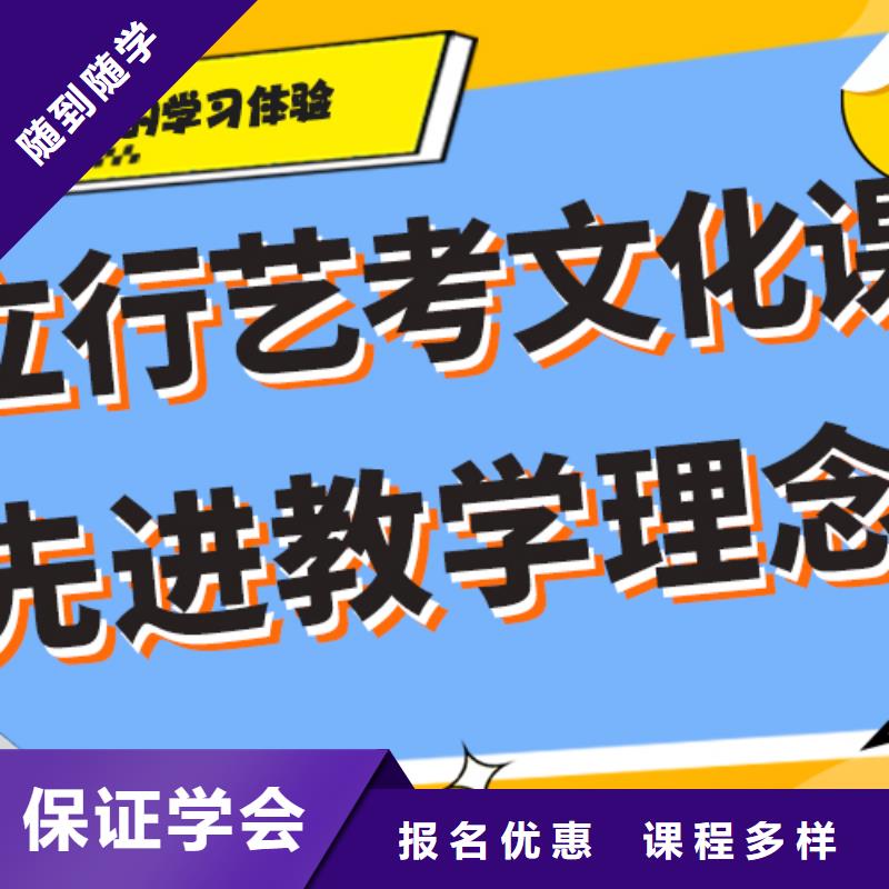 艺术生文化课补习学校哪个好艺考生文化课专用教材