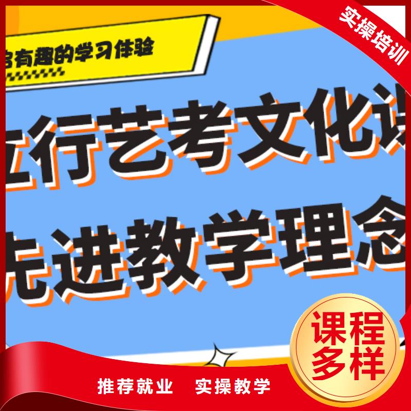 艺考生文化课培训补习哪个好针对性教学