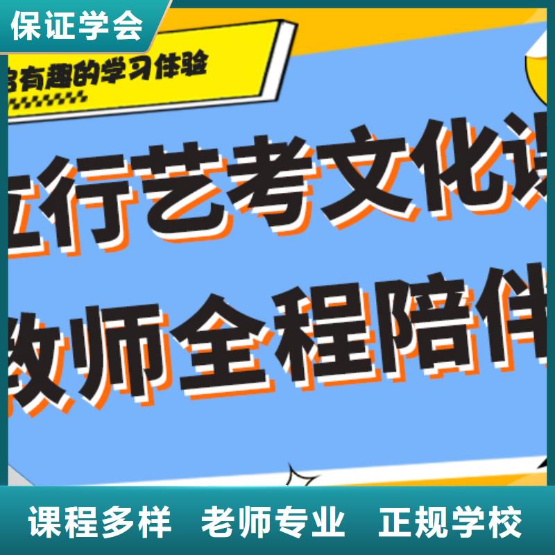 费用艺术生文化课辅导集训定制专属课程