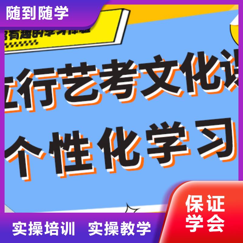 费用艺术生文化课辅导集训定制专属课程