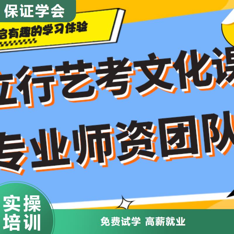 哪家好艺术生文化课培训补习定制专属课程