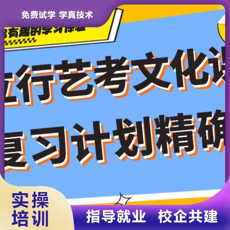 艺考生文化课补习机构有哪些针对性教学