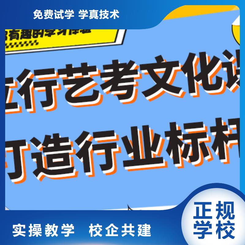 艺考生文化课辅导集训哪家好定制专属课程