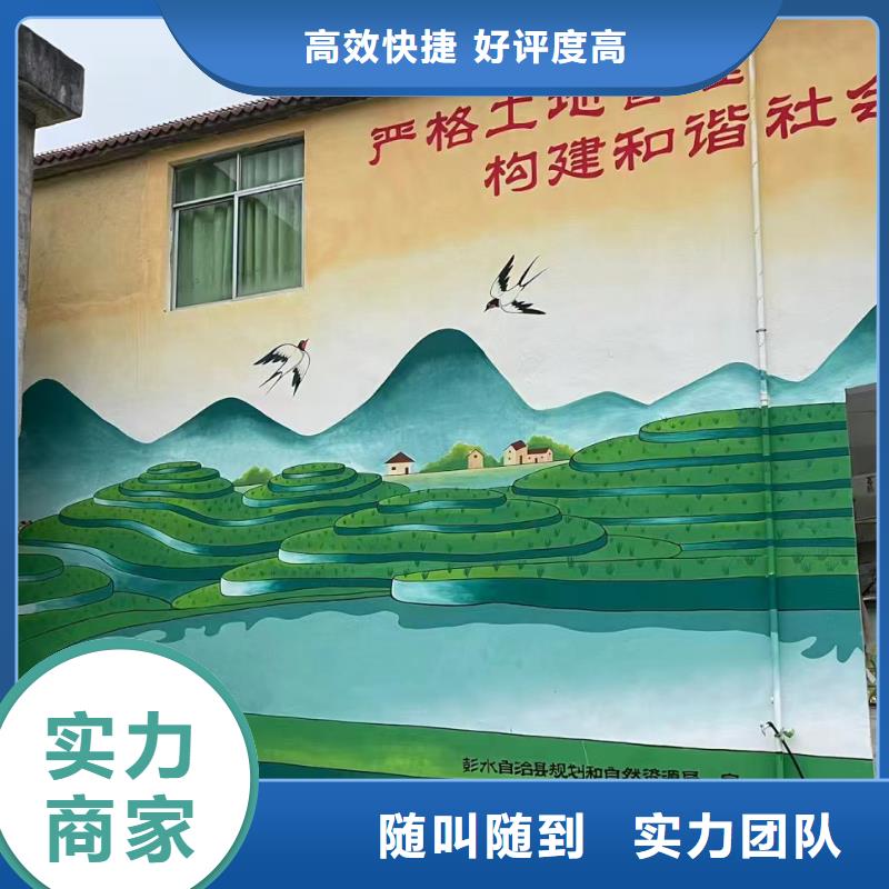 万宁市新农村彩绘墙绘手绘公司团队