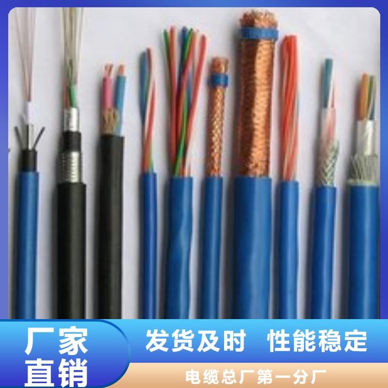 电线电缆PTYA23电缆产品细节