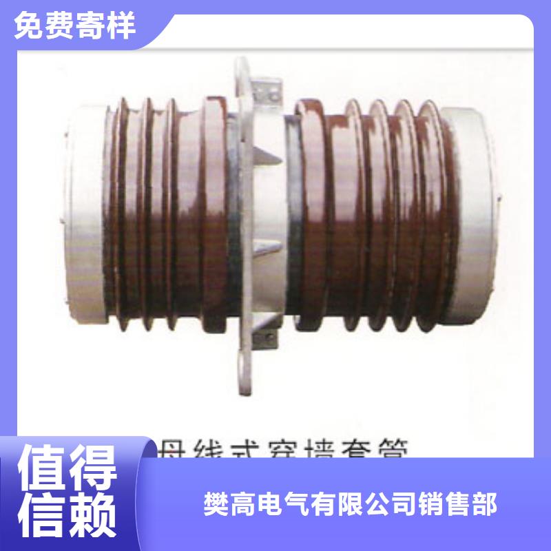 穿墙套管真空断路器价格追求品质