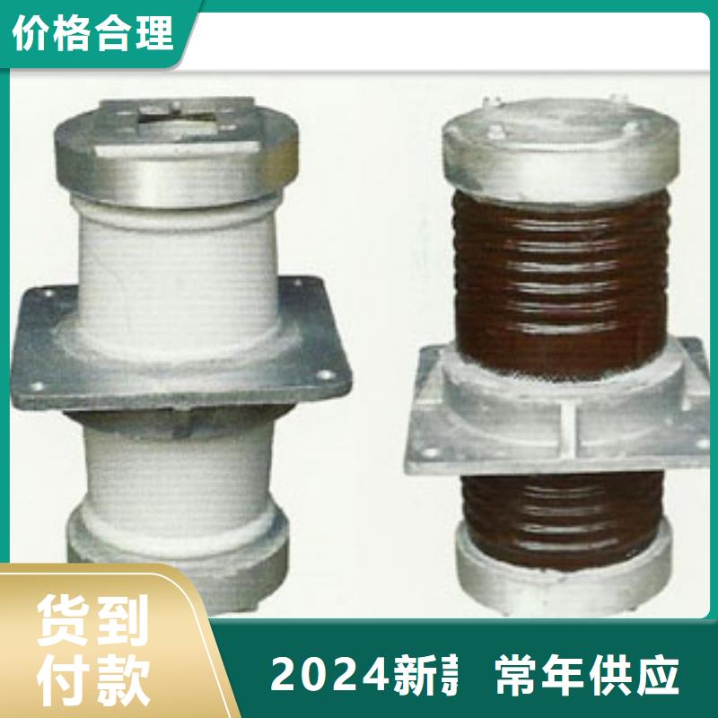 CWWB-35/4000陶瓷套管