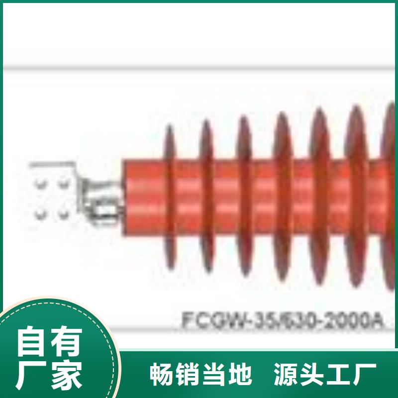 CWB-35/630陶瓷套管