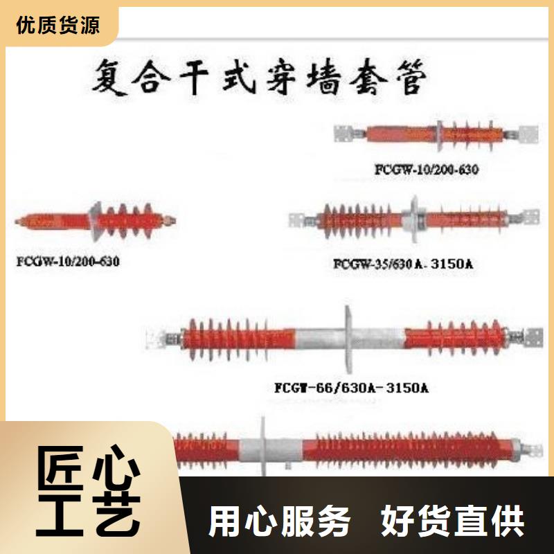 CWWB-35/4000陶瓷套管