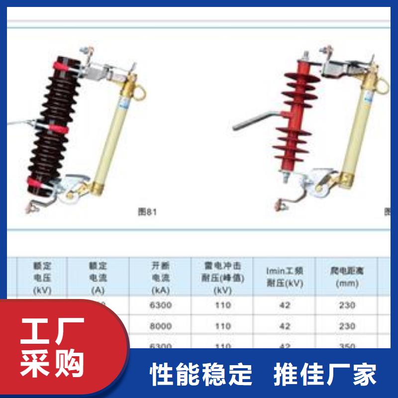 【熔断器,【跌落式熔断器】多年行业积累】