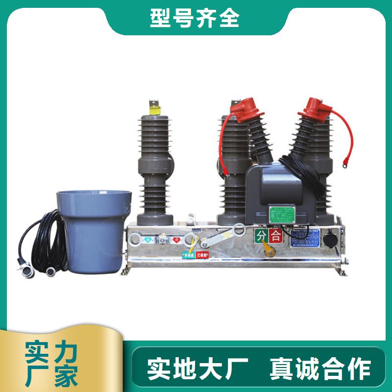 真空断路器高低压电器团队一站式采购商家