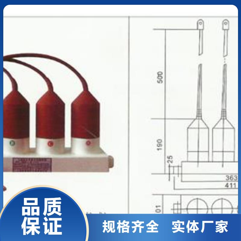 过电压保护器-真空断路器欢迎来电询价