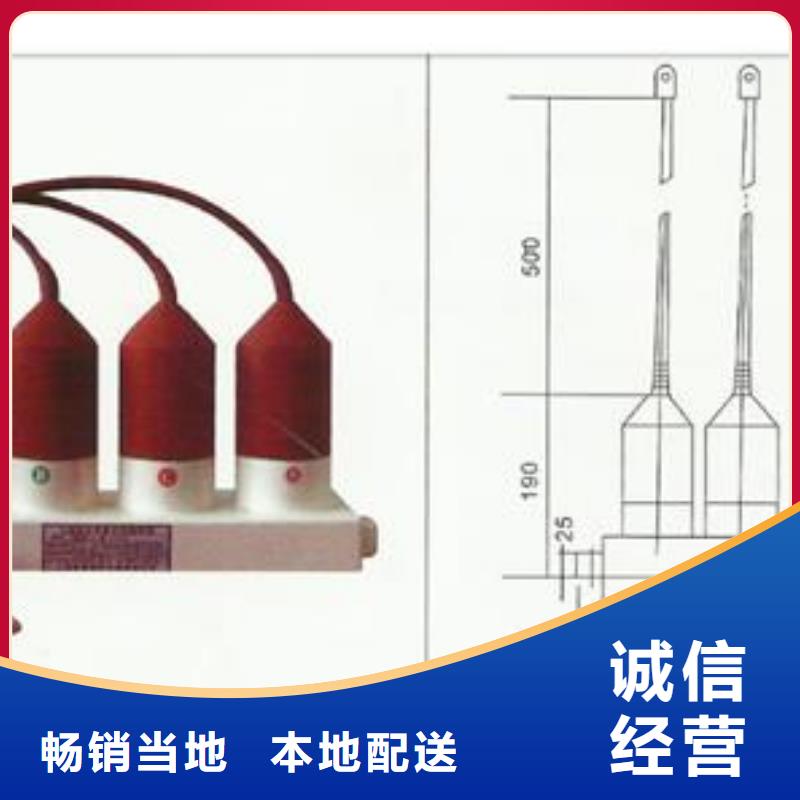 过电压保护器,【高低压电器厂】优选厂商