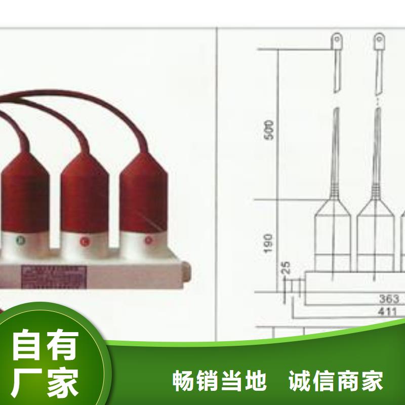 过电压保护器-真空断路器产地厂家直销