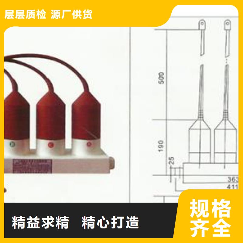 过电压保护器,固定金具实力雄厚品质保障