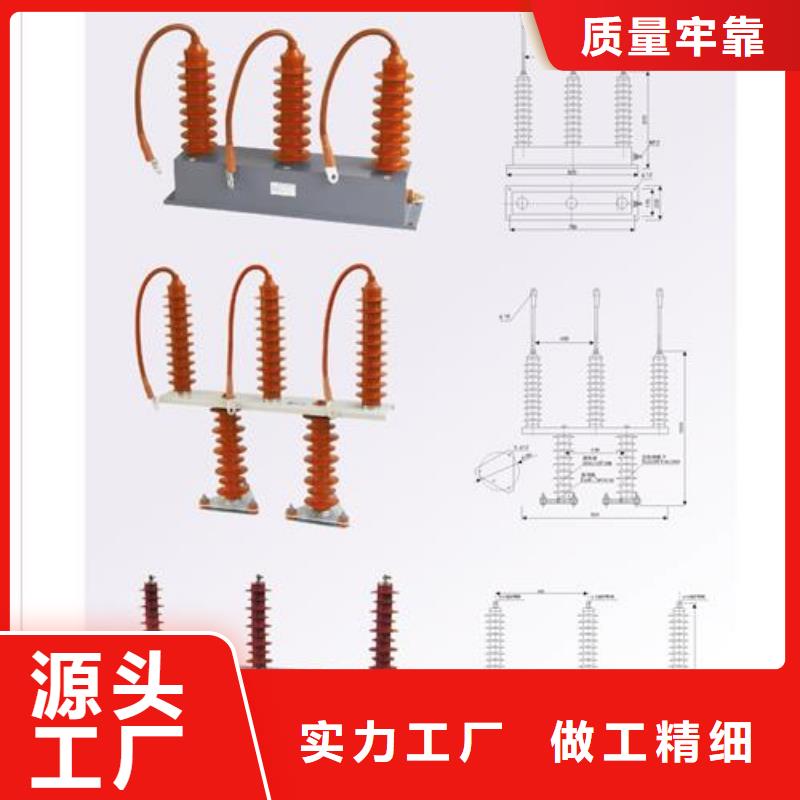 过电压保护器-真空断路器专业的生产厂家