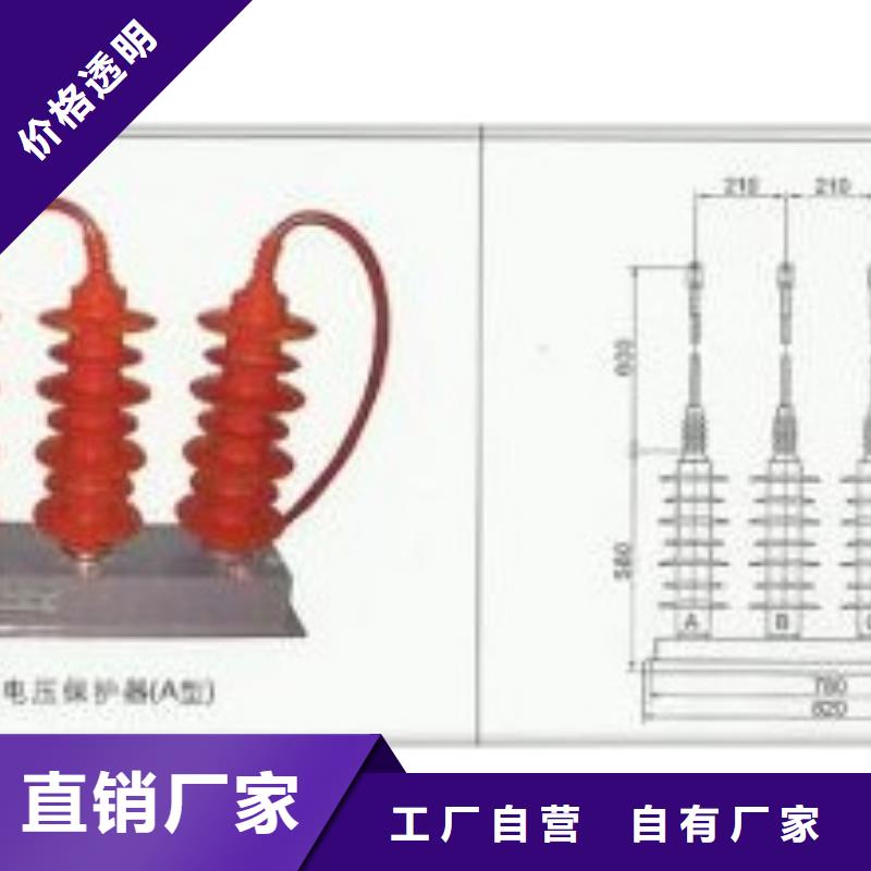 过电压保护器高低压电器认准大品牌厂家