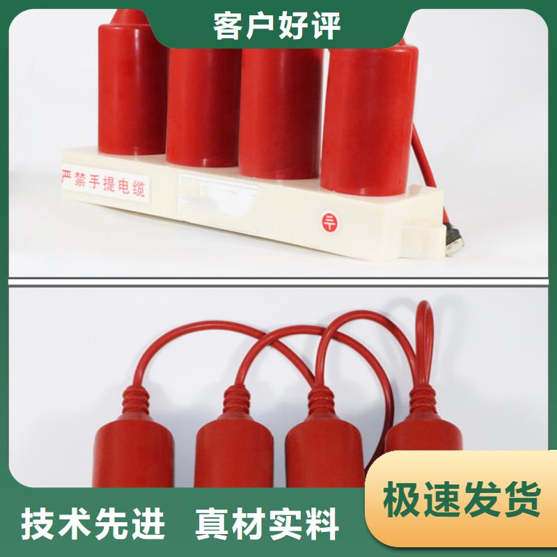 【过电压保护器】氧化锌避雷器真诚合作