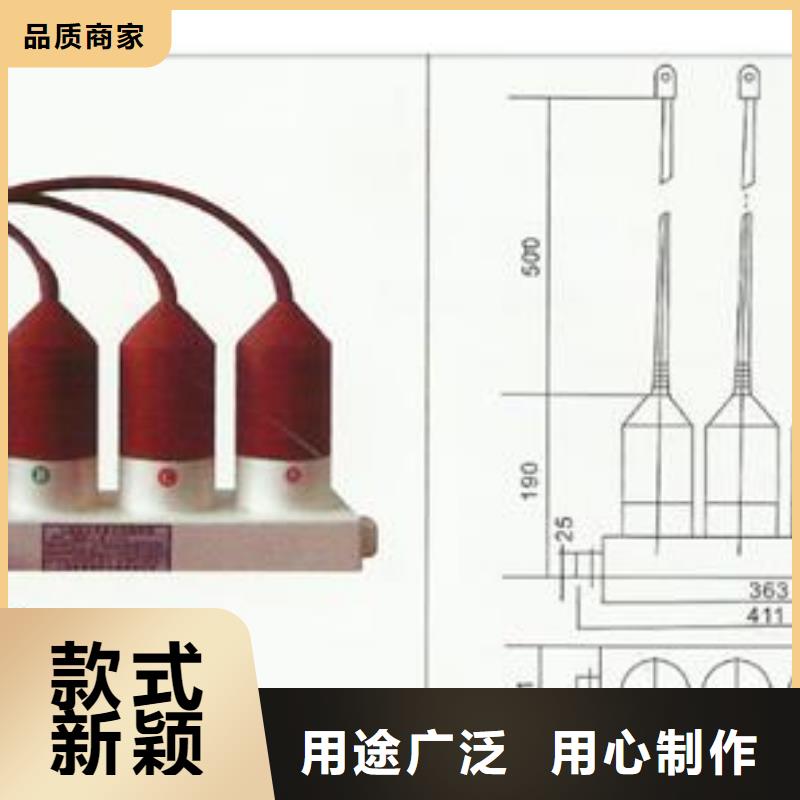 过电压保护器-真空断路器欢迎来电询价