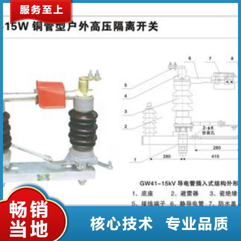 隔离开关氧化锌避雷器选择我们选择放心