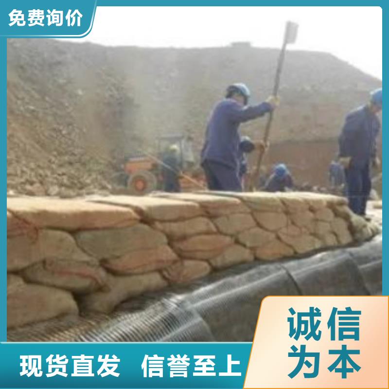 单向塑料格栅膨润土防水毯品质保障价格合理