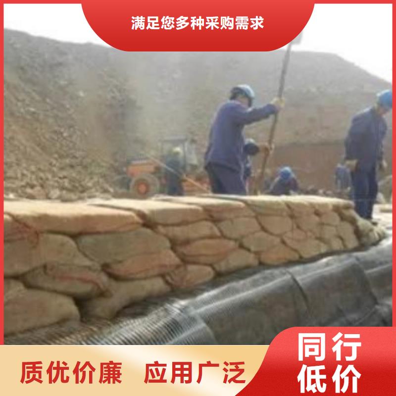 【单向塑料格栅膨润土防水毯合作共赢】