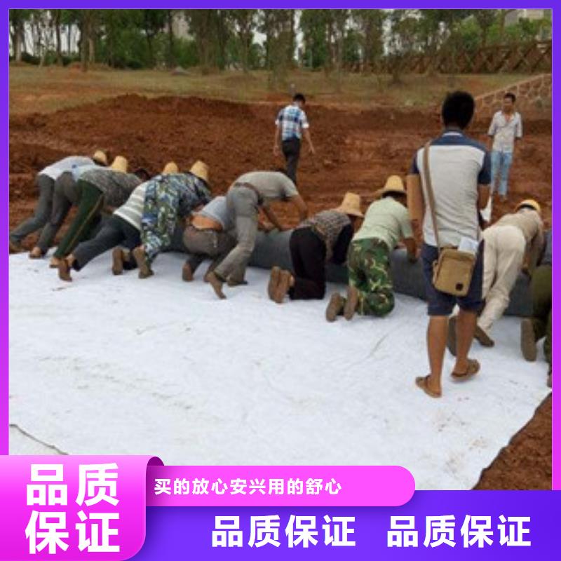 膨润土防水毯玻纤土工格栅规格齐全