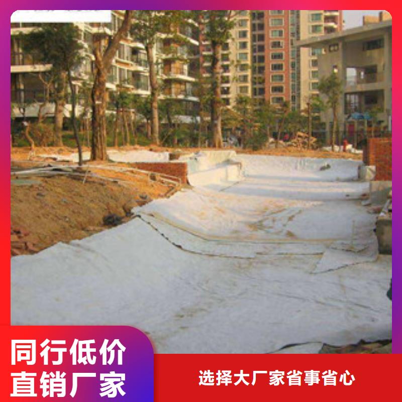 膨润土防水毯塑料土工格栅定制速度快工期短