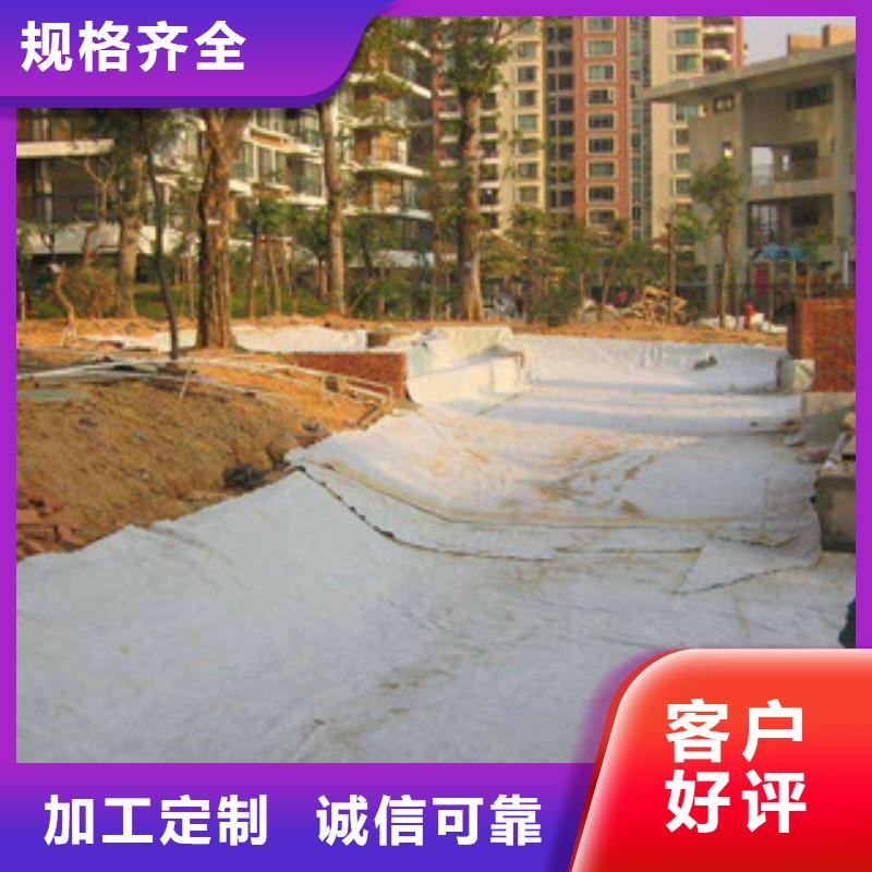 【膨润土防水毯钢塑土工格栅厂家直营】