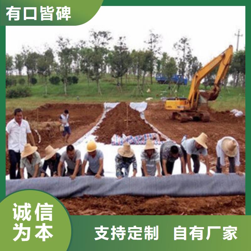 【膨润土防水毯-塑料土工格栅一站式采购】