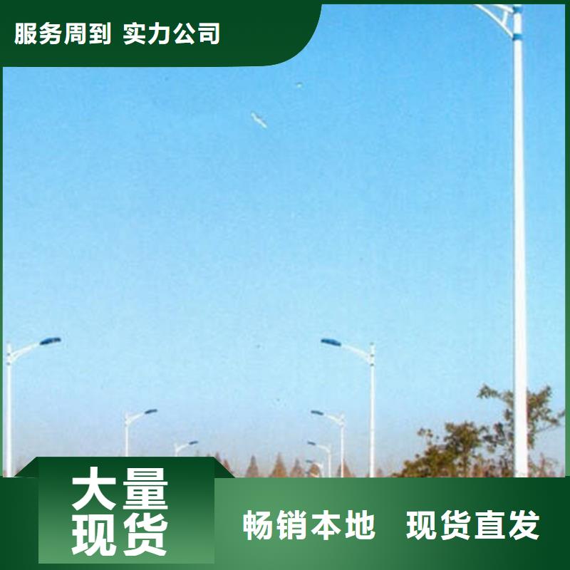 太阳能市电太阳能杀虫灯准时交付