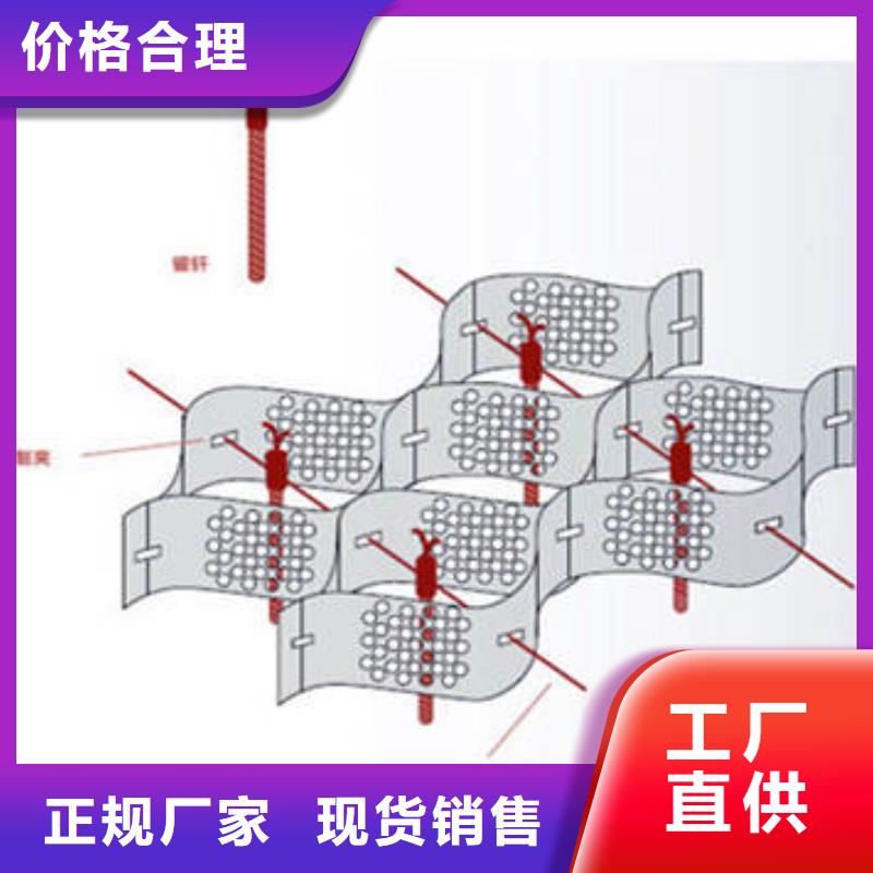 蜂巢格室 三维植被网价格实惠工厂直供