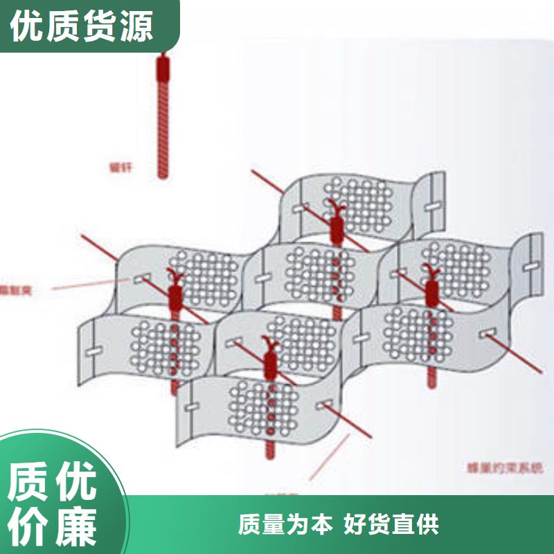 蜂巢格室【钢塑格栅】库存量大