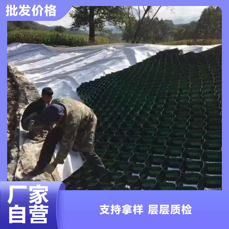 蜂巢格室_【钢塑土工格栅】工厂自营