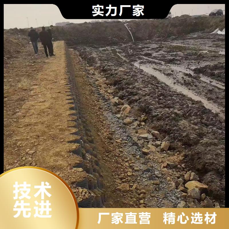 蜂巢格室_塑料土工格室真正的源头厂家