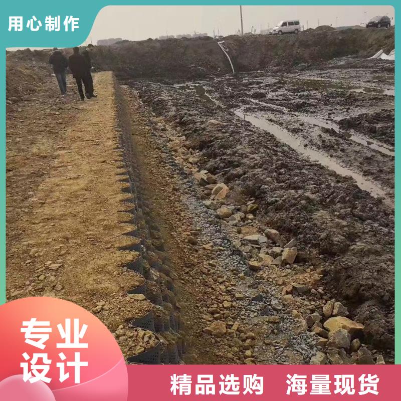 蜂巢格室,塑料土工格室支持定制批发