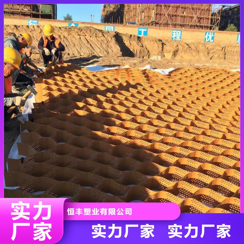 【蜂巢格室双向塑料土工格栅客户好评】