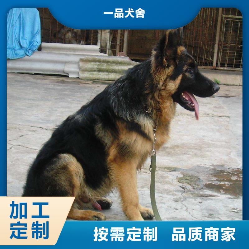 【德国牧羊犬杜高犬精工细致打造】