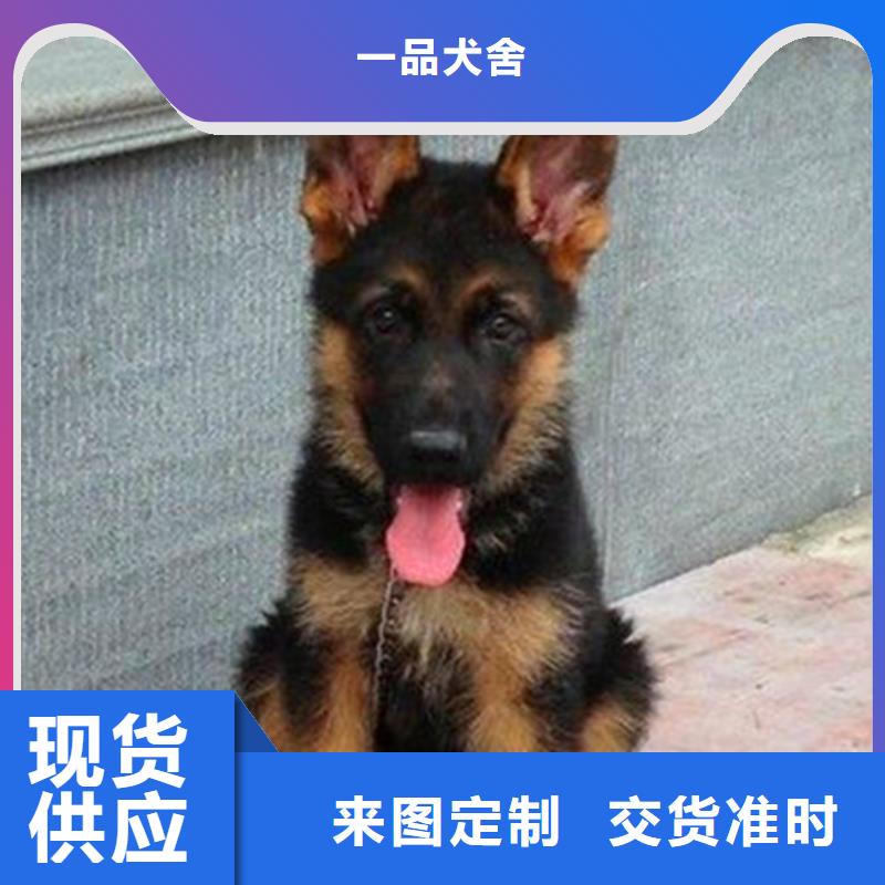 【德国牧羊犬】高加索犬助您降低采购成本