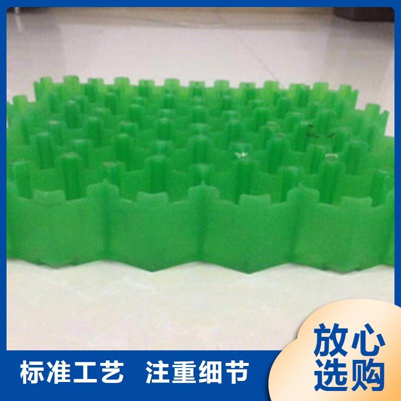 【环保植草格土工膜厂家实力商家供货稳定】