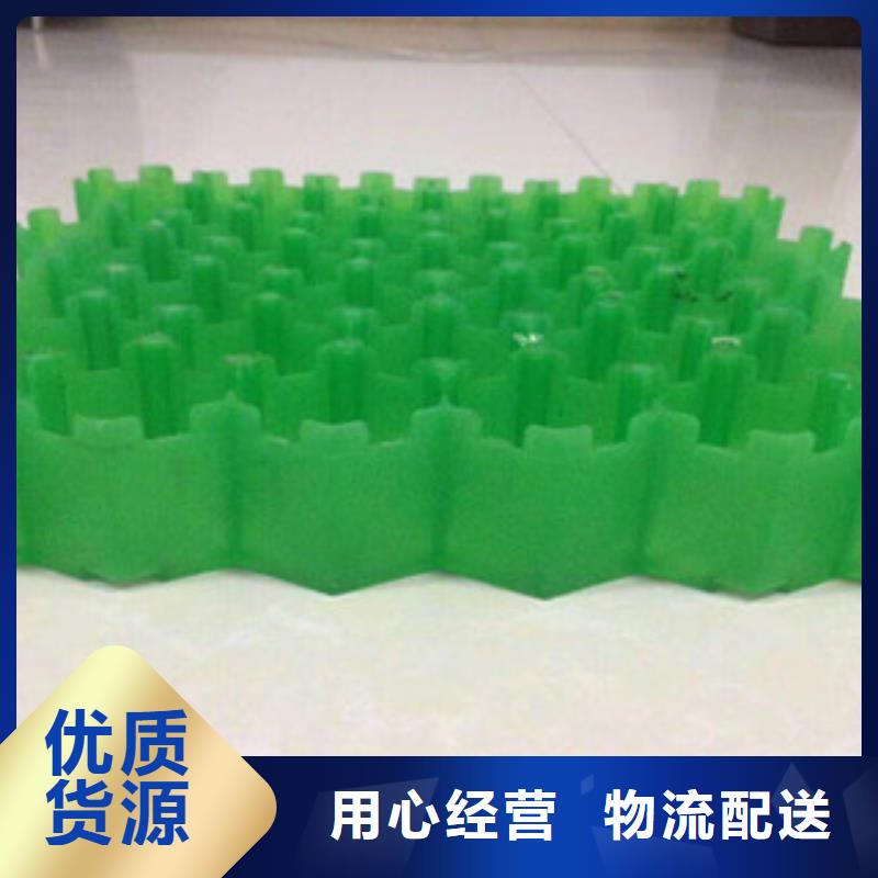 【环保植草格土工布厂家把实惠留给您】