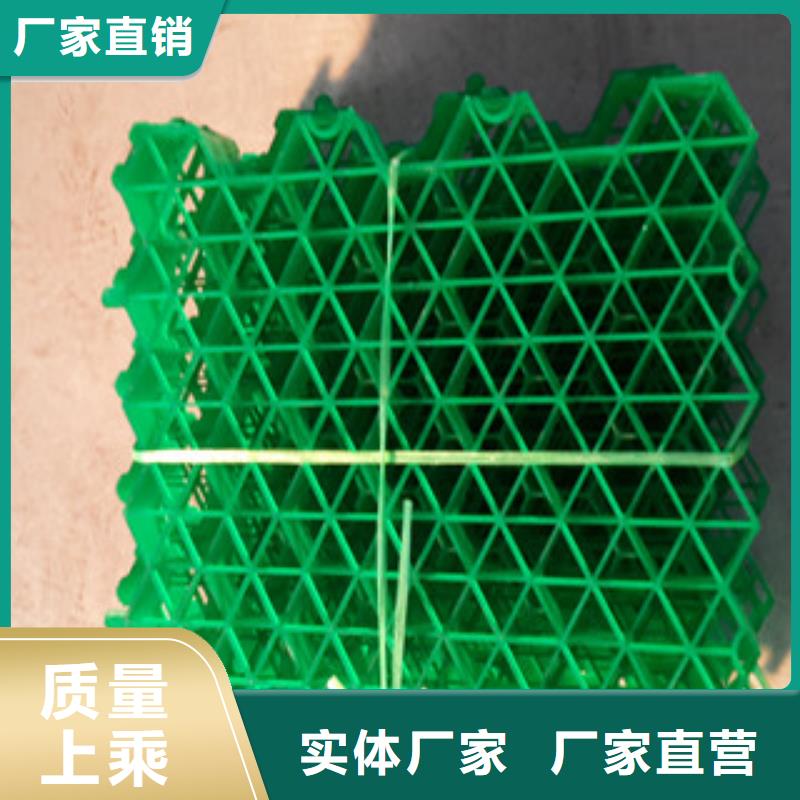 【植草格】排水板厂家产品实拍