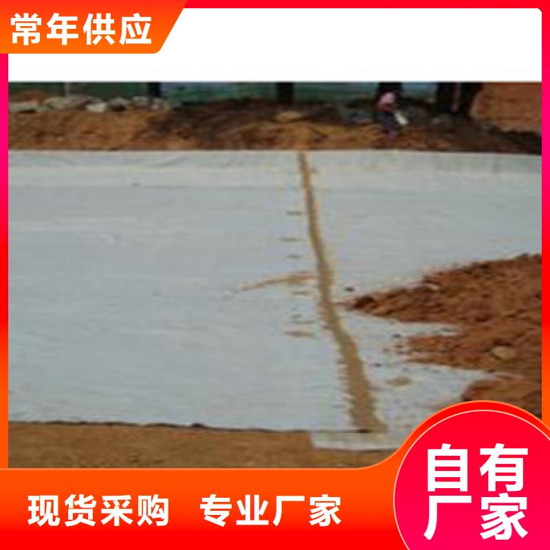 防水毯【膨润土防水毯厂家】货品齐全