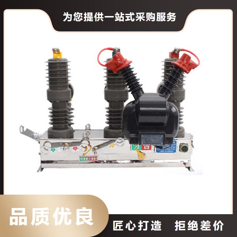 南充ZW8-12/T630-12.5真空断路器质量保证