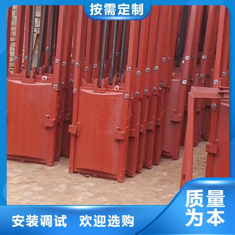 青海城市建设平面铸铁闸门免费图纸